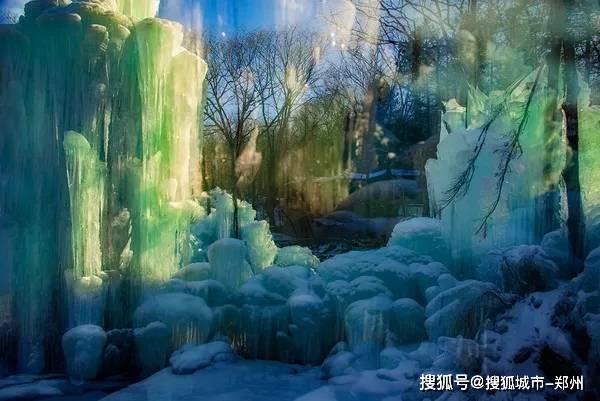 空气凤梨如何养? - 极客社区讨论专区
